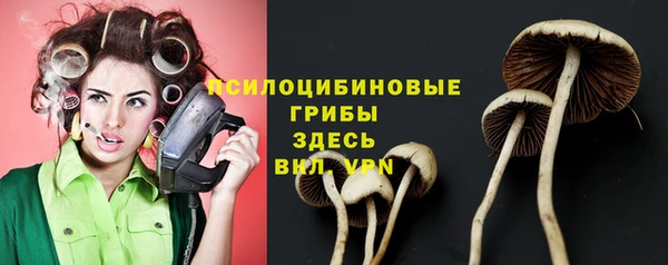 марки nbome Алексеевка