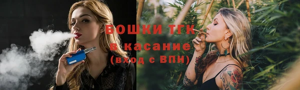дживик Лагань
