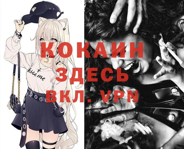 дурь Алексин