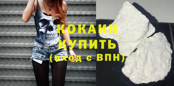 индика Лабытнанги