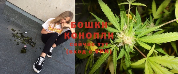 индика Лабытнанги