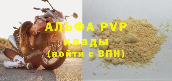 apvp Алзамай