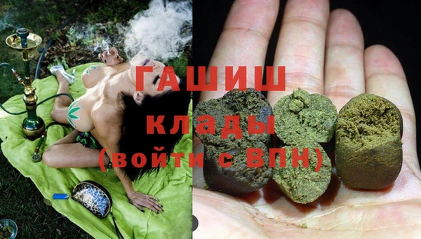 индика Лабытнанги