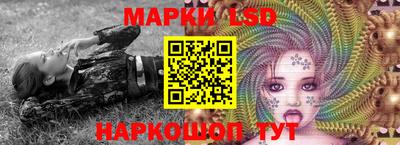 эйфоретик Гудермес