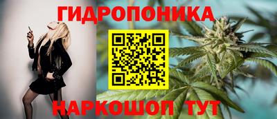 эйфоретик Гудермес