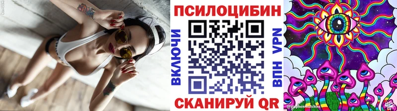 Псилоцибиновые грибы мицелий  купить наркотики сайты  Ачинск 
