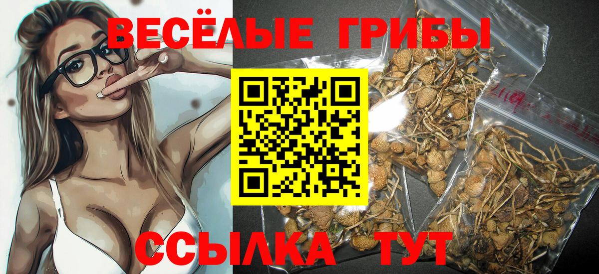 Ачинск  Псилоцибиновые грибы Psilocybine cubensis  Вход с VPN  Псилоцибиновые грибы мухоморы 